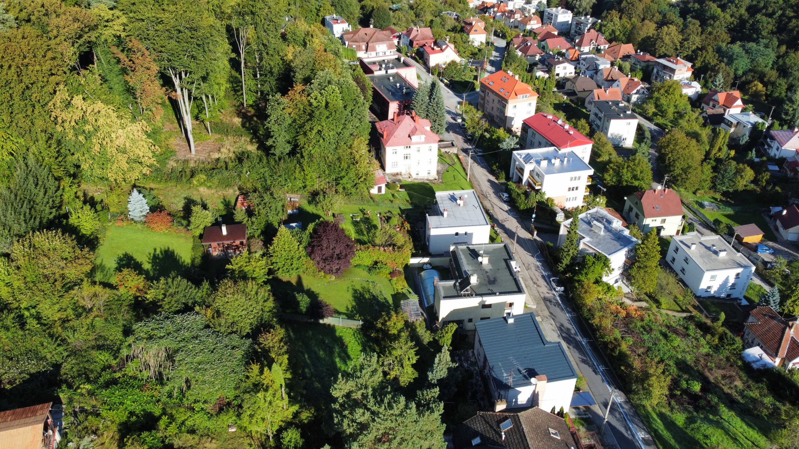 dji_fly_20250915_085430_304_1757919352189_photo_optimized